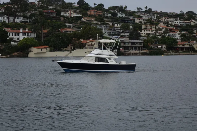 The Image of Blackfin 29 Flybridge 1988 - 0