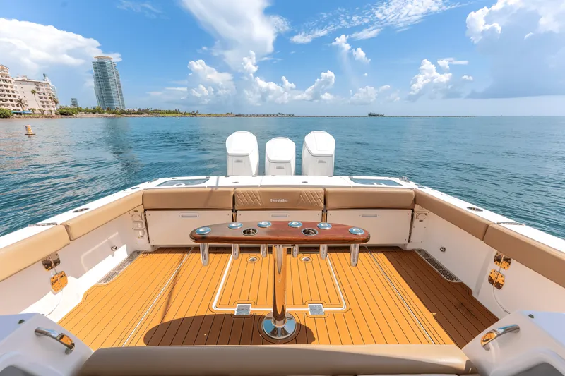 Slide: The Image of Everglades 455 CC 2023 - 19