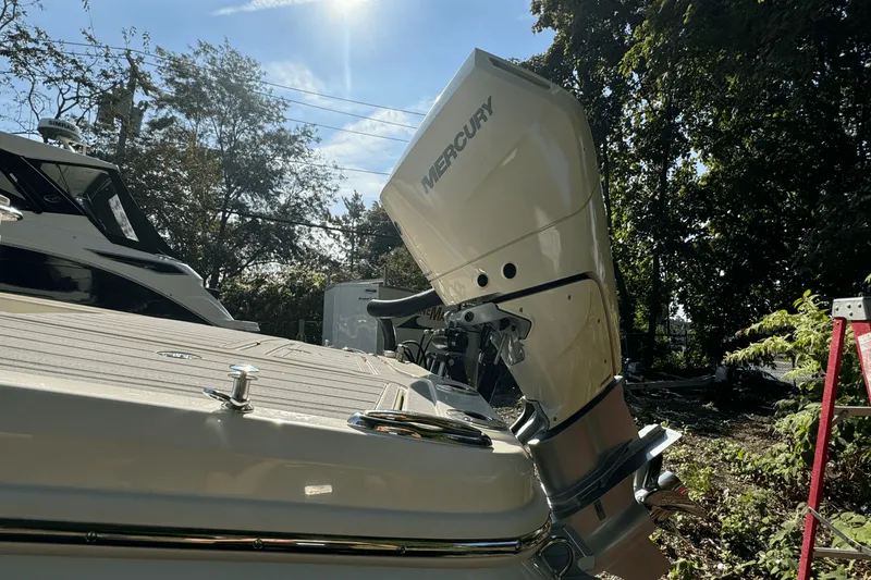 Slide: The Image of Scout 281 XSS 2025 - 6