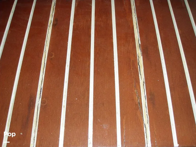 Slide: The Image of Chris-Craft Sportsman 1951 - 6018758