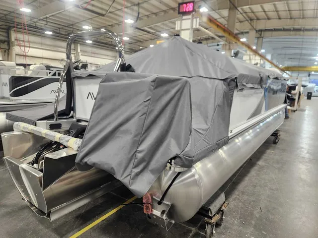 Slide: The Image of Avalon 2385 25 LSZ QLS 2026 - 9