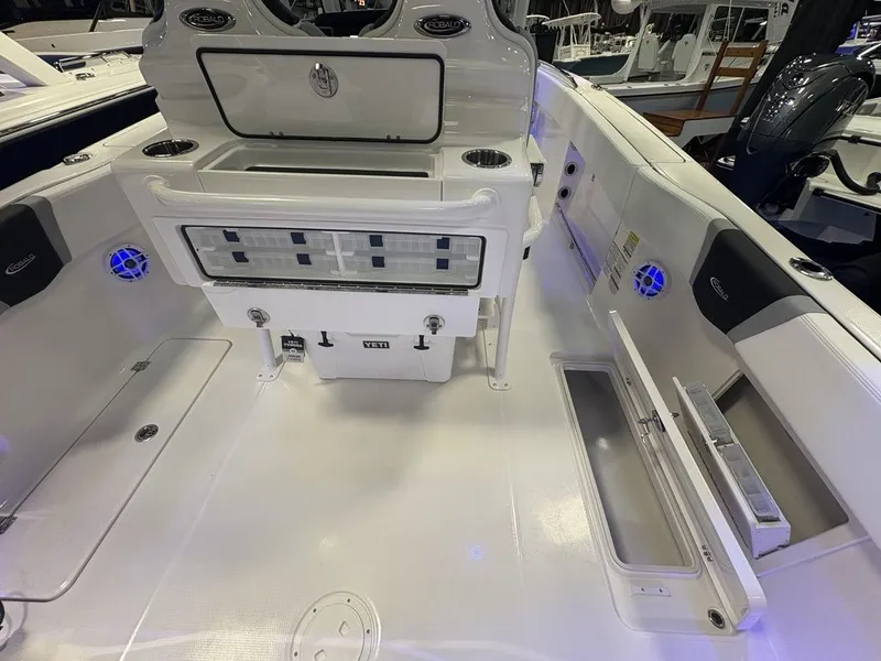 Slide: The Image of Robalo R250 2026 - 9