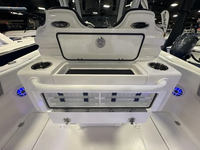 Slide: The Image of Robalo R250 2026 - 10