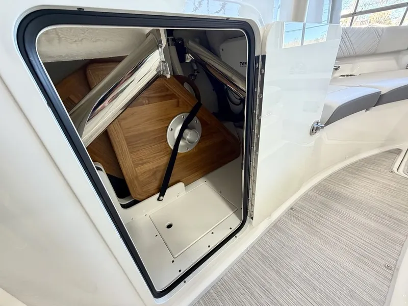 Slide: The Image of Sea Ray SDX 250 2026 - 33