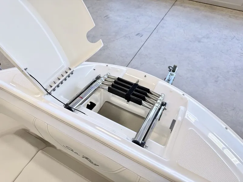 Slide: The Image of Sea Ray SDX 250 2026 - 15