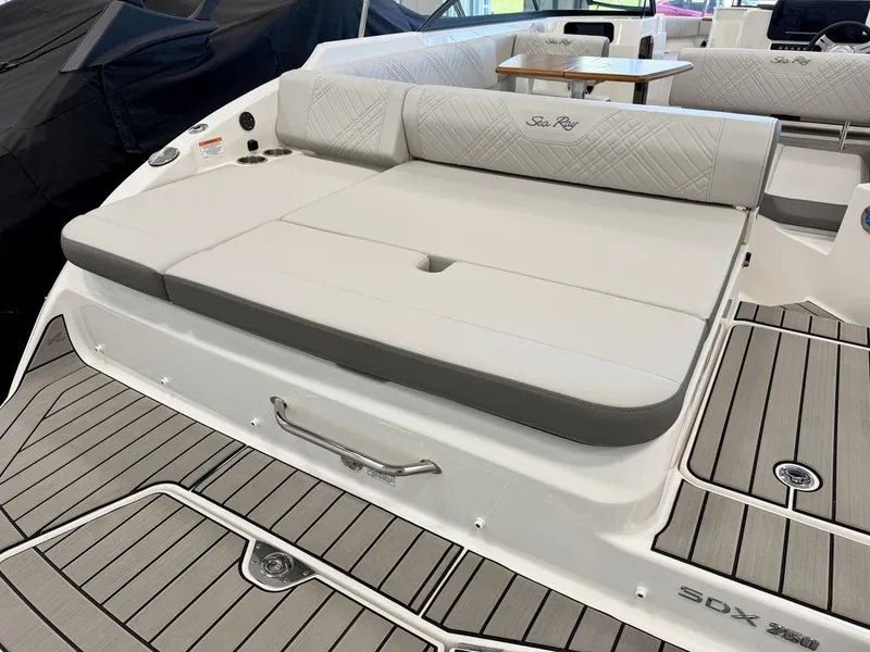 Slide: The Image of Sea Ray SDX 250 2026 - 43