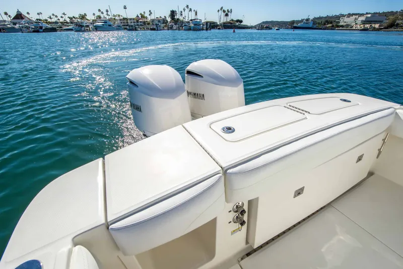Slide: The Image of Regulator Marine 25 2020 - 12