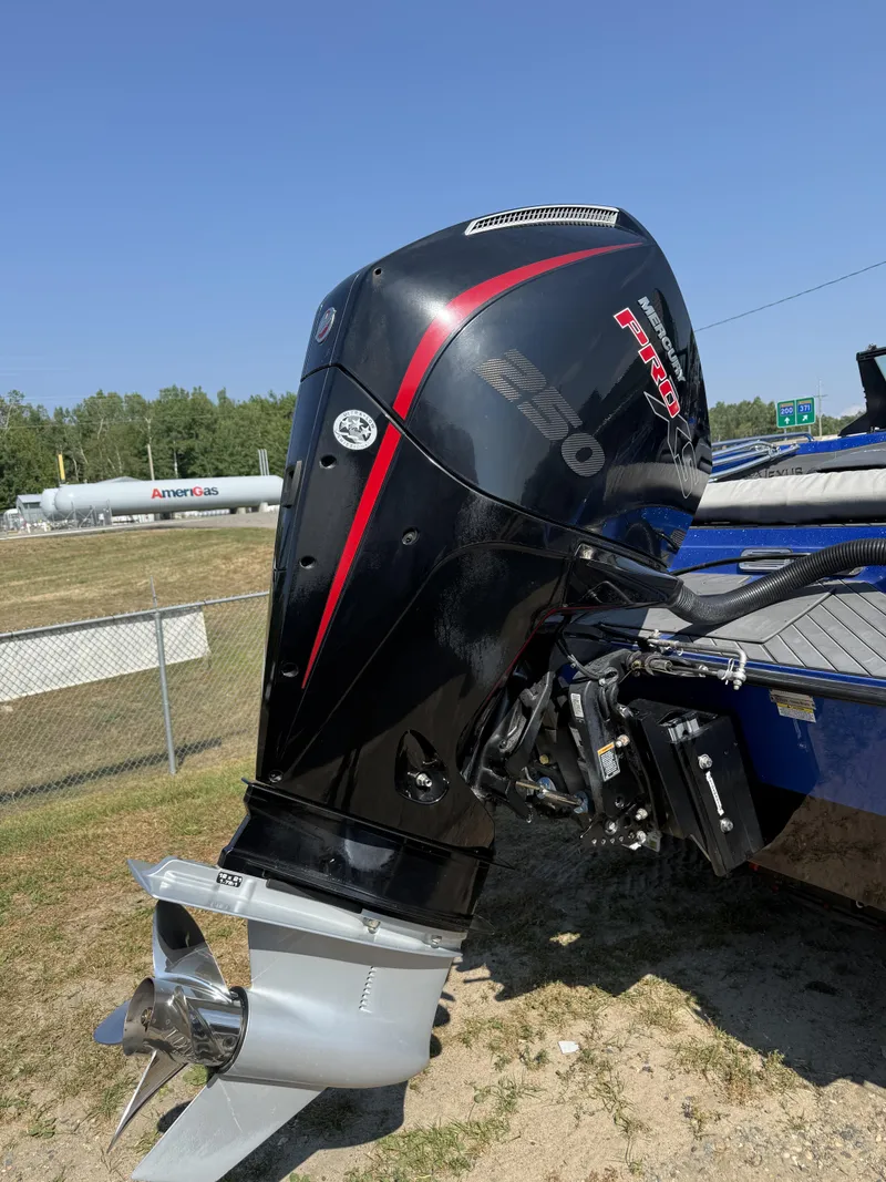 Slide: The Image of Vexus DVX20S 2023 - 2