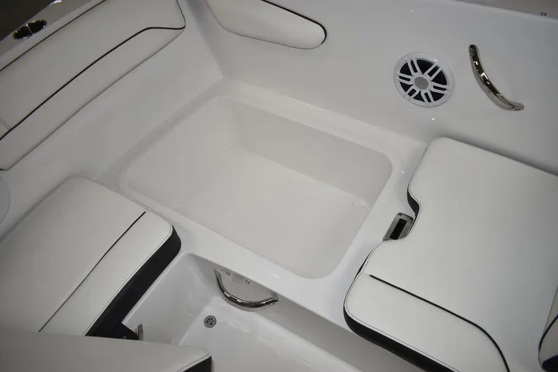 Slide: The Image of Stingray 172DC 2025 - 25