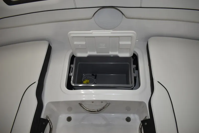 Slide: The Image of Stingray 172DC 2025 - 27