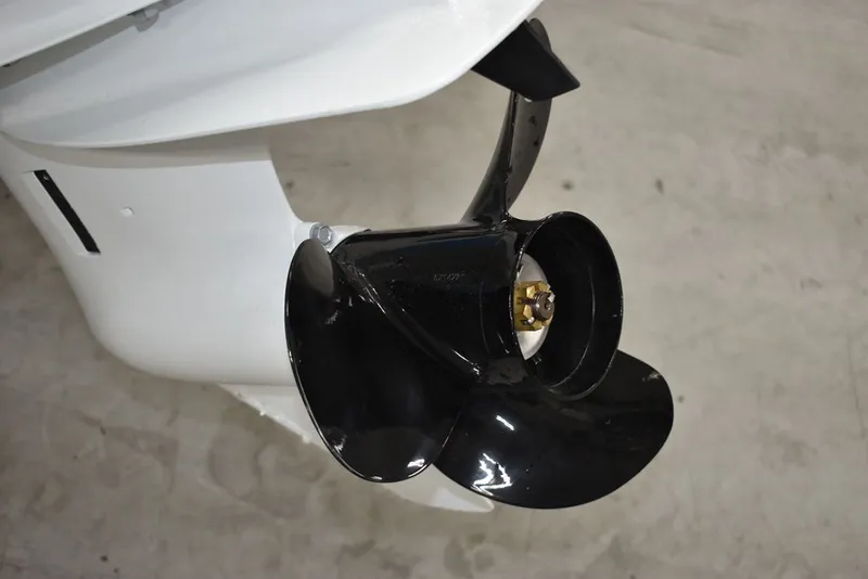 Slide: The Image of Stingray 172DC 2025 - 45