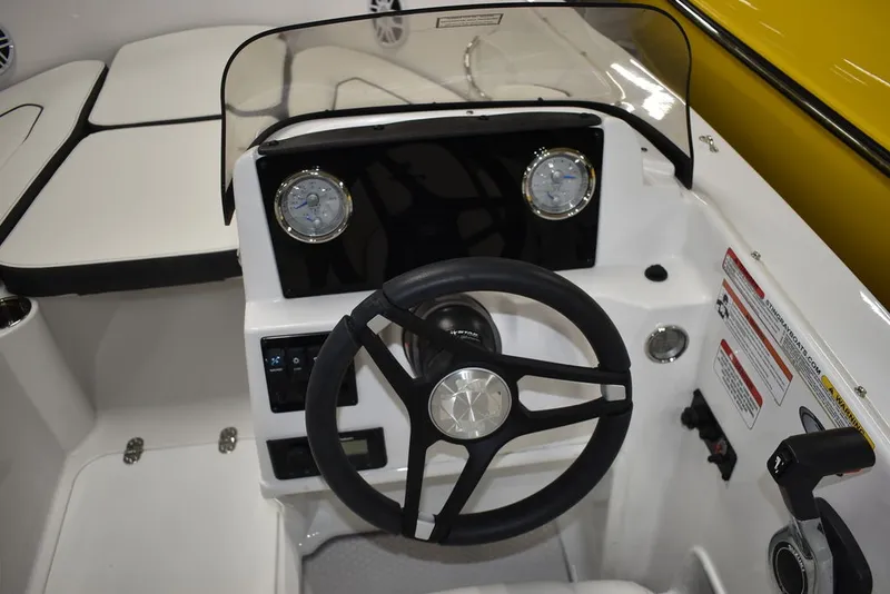 Slide: The Image of Stingray 172DC 2025 - 18