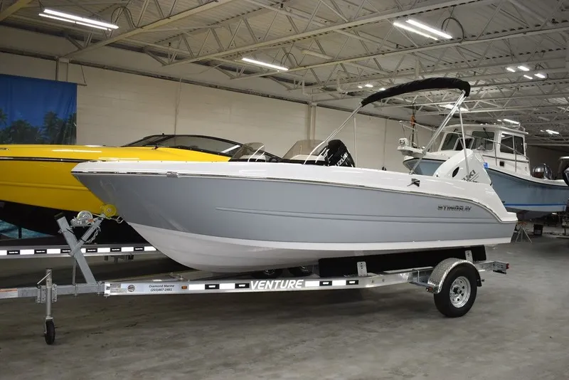 Slide: The Image of Stingray 172DC 2025 - 2