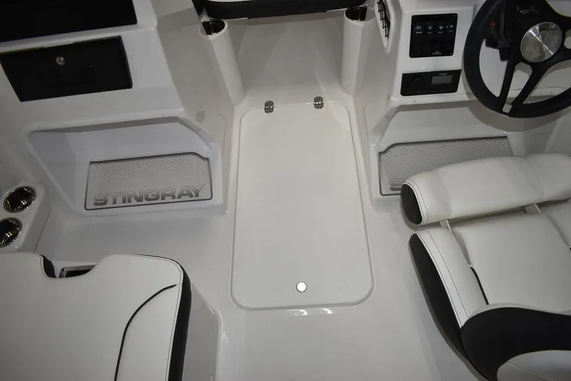 Slide: The Image of Stingray 172DC 2025 - 29