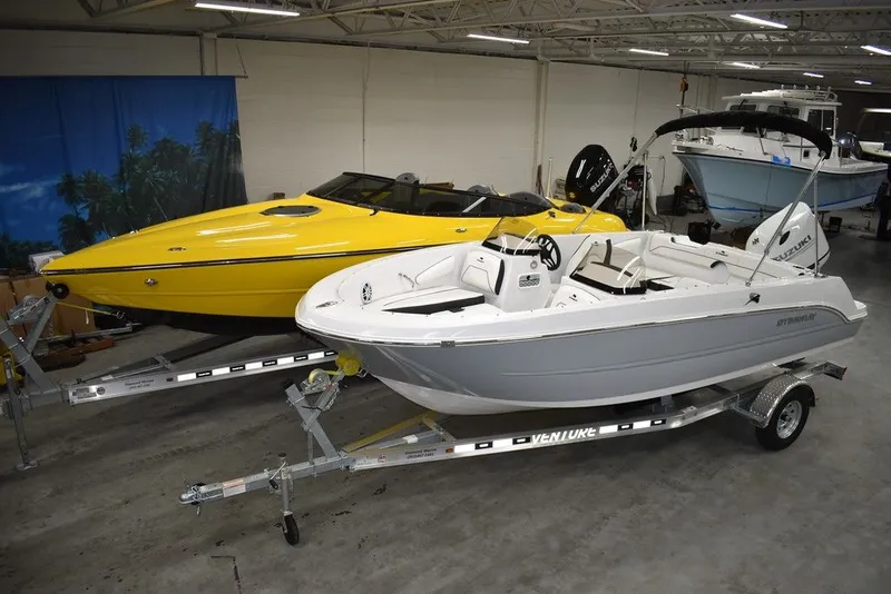 Slide: The Image of Stingray 172DC 2025 - 3