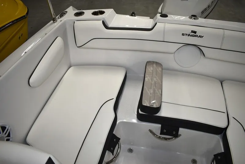 Slide: The Image of Stingray 172DC 2025 - 40