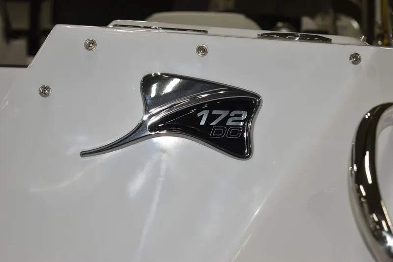 Slide: The Image of Stingray 172DC 2025 - 43