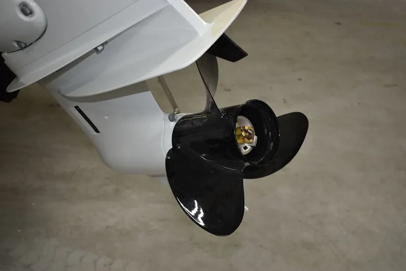 Slide: The Image of Stingray 172DC 2025 - 45