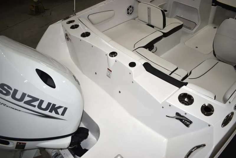 Slide: The Image of Stingray 172DC 2025 - 8