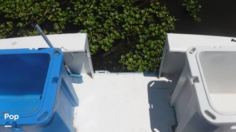 Slide: The Image of Transom Opening. Transom Door Slides In With Custom Ladder - 6082830