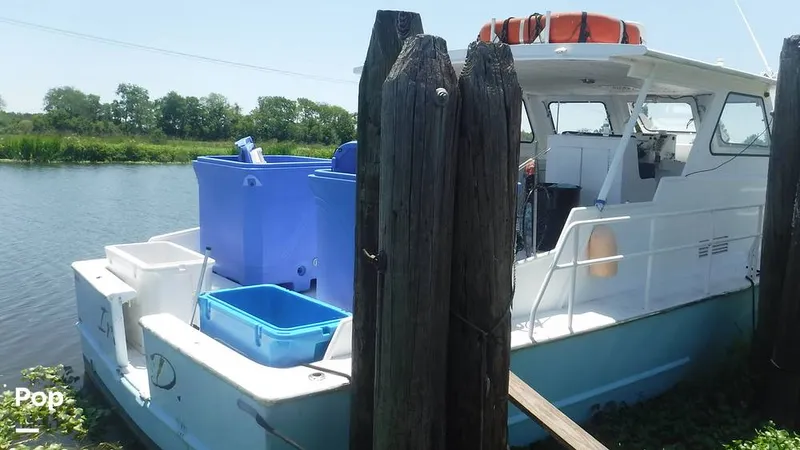 Slide: The Image of Stern - 6082826