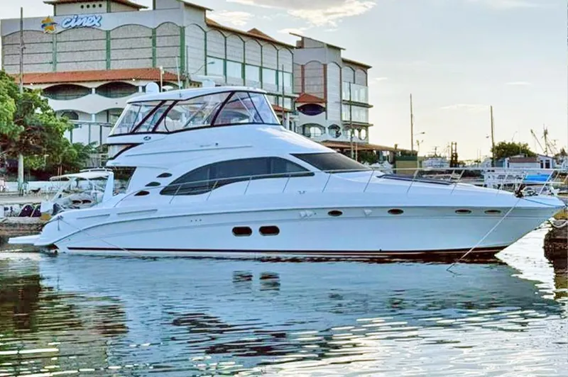 The Image of Sea Ray 58 Sedan Bridge 2009 - 0