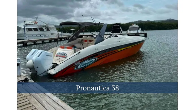 The Image of Pronautica 40 2011 - 0