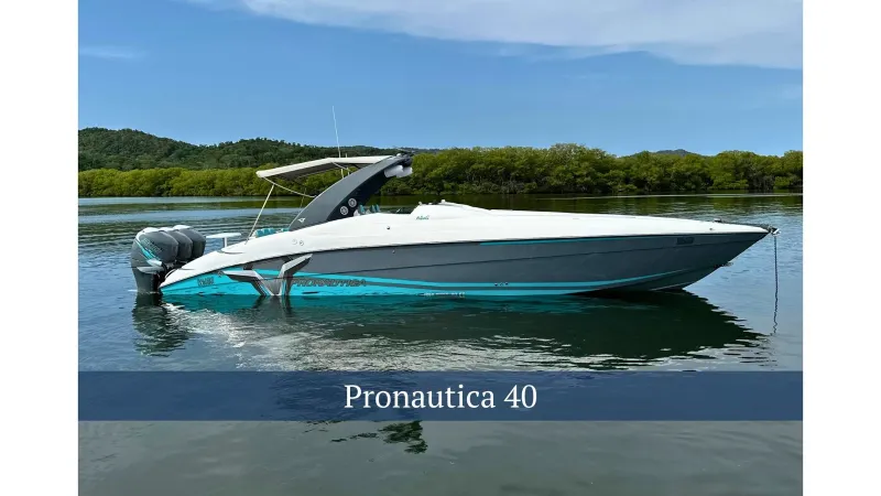 The Image of Pronautica 40 2016 - 0