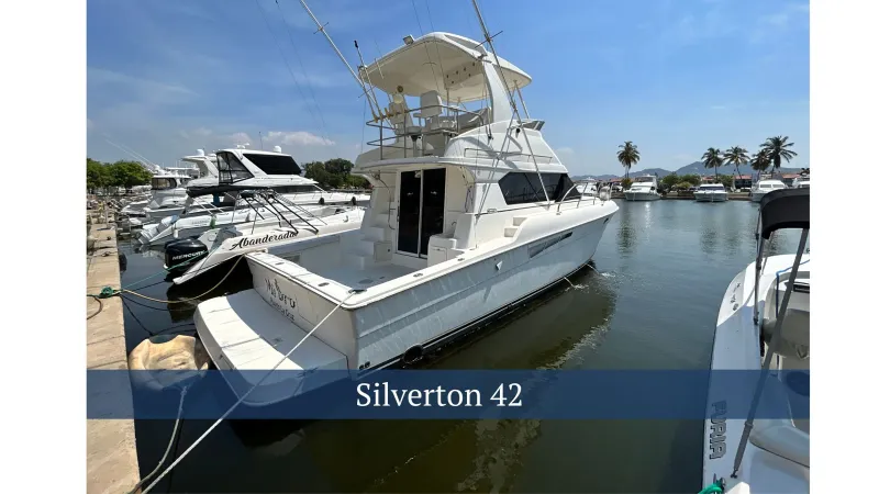 The Image of Silverton 42 2001 - 0