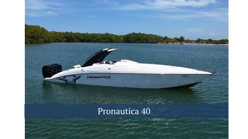 The Image of Pronautica 40 2017 - 0