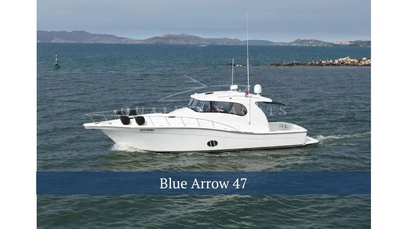 The Image of Blue Arrow 47 2007 - 0