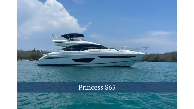 The Image of Princess S 65 2017 - 0