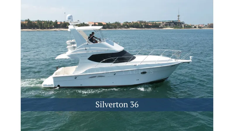 The Image of Silverton 36 2008 - 0