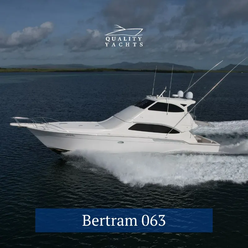 Slide: The Image of Bertram 63 2005 - 29