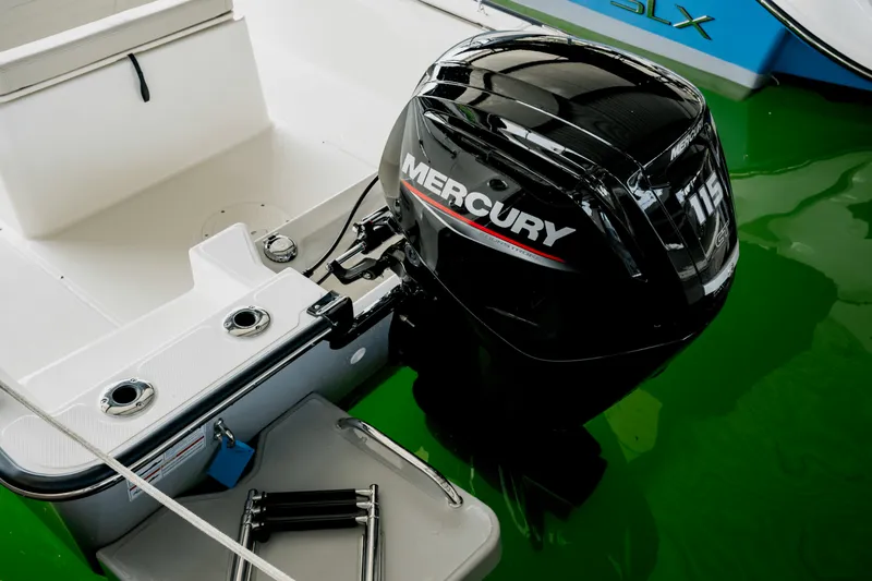 Slide: The Image of Boston Whaler 170 Montauk 2025 - 20