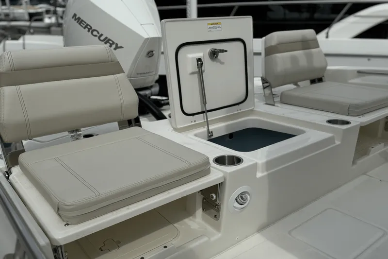 Slide: The Image of Boston Whaler 250 Dauntless 2025 - 13