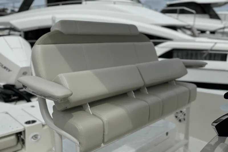 Slide: The Image of Boston Whaler 250 Dauntless 2025 - 17