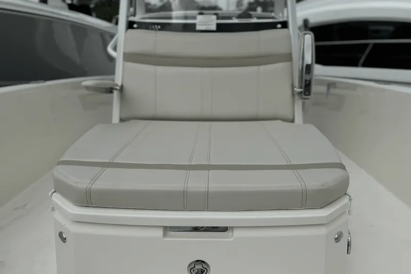 Slide: The Image of Boston Whaler 250 Dauntless 2025 - 19