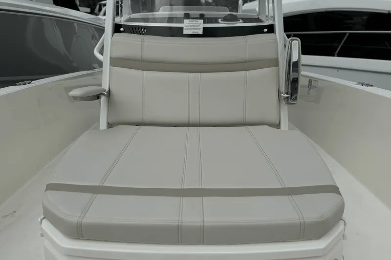 Slide: The Image of Boston Whaler 250 Dauntless 2025 - 20