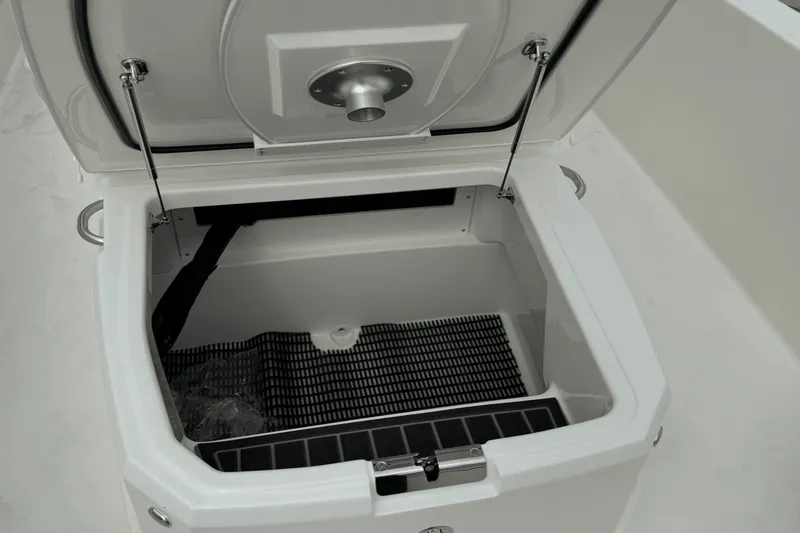 Slide: The Image of Boston Whaler 250 Dauntless 2025 - 24