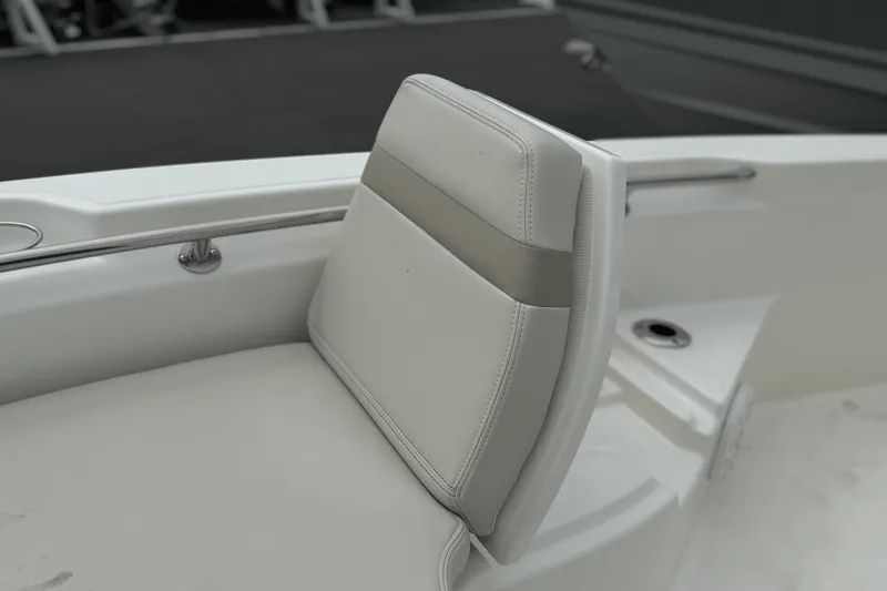Slide: The Image of Boston Whaler 250 Dauntless 2025 - 25