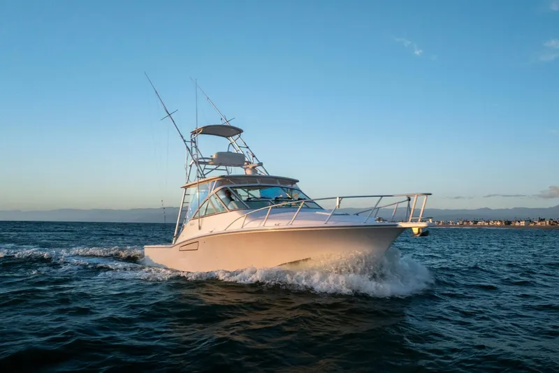 The Image of Cabo 36 Express 2013 - 0