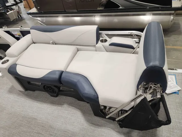 Slide: The Image of Avalon 2385 25 LSZ QLS 2026 - 14