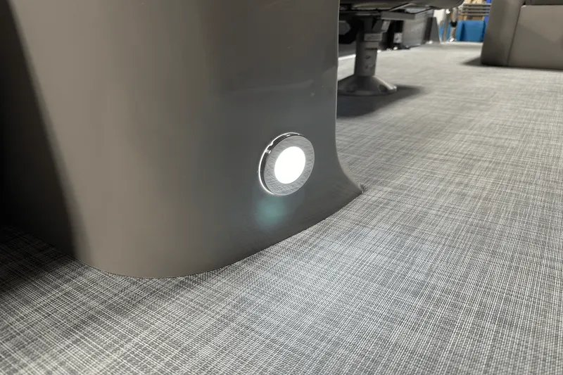 Slide: The Image of Premier 220 Sunscape 2025 - 34