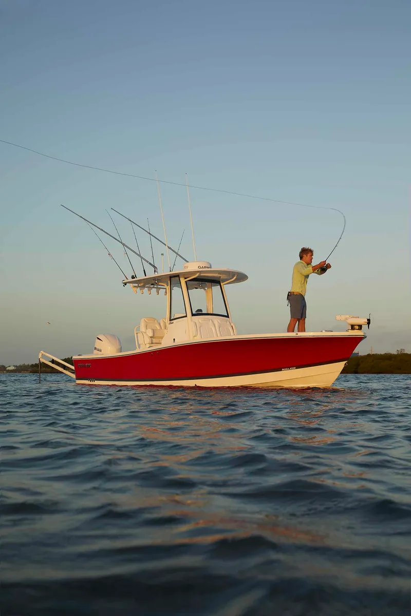 Slide: The Image of Regulator Marine 26XO 2026 - 8