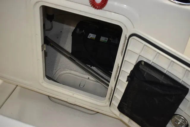 Slide: The Image of Carolina 17 LS 2026 - 22