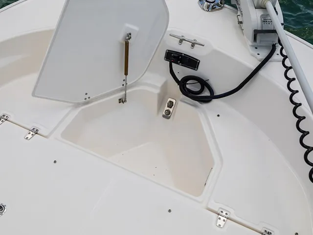 Slide: The Image of Boston Whaler 210 Montauk 2026 - 8