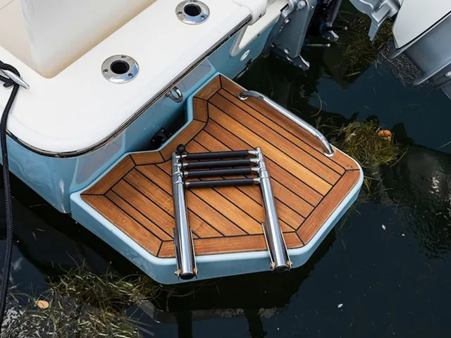 Slide: The Image of Boston Whaler 210 Montauk 2026 - 15