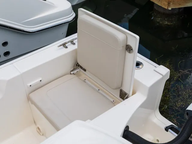 Slide: The Image of Boston Whaler 210 Montauk 2026 - 14