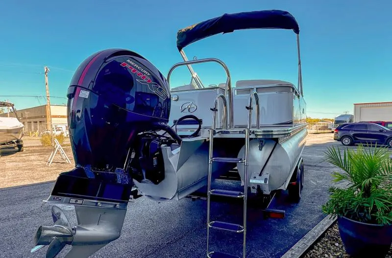 Slide: The Image of Avalon LSZ QL 2024 - 6